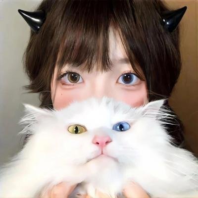 晚宴海报